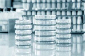 Qualifizierung von Zellkultur-Inkubatoren