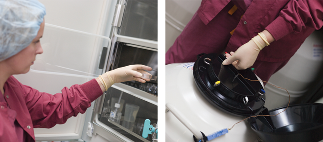 Control de CO2 para incubadoras FIV