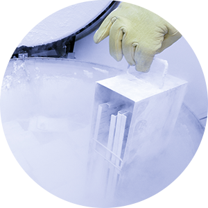 Congeladores y refrigeradores